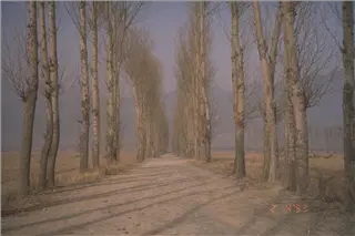 small_9302 1028 china etcImg0068.webp